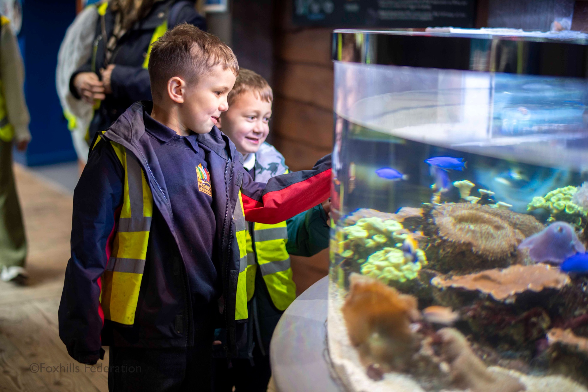 Two boys smile at a tank of colourful fish.
