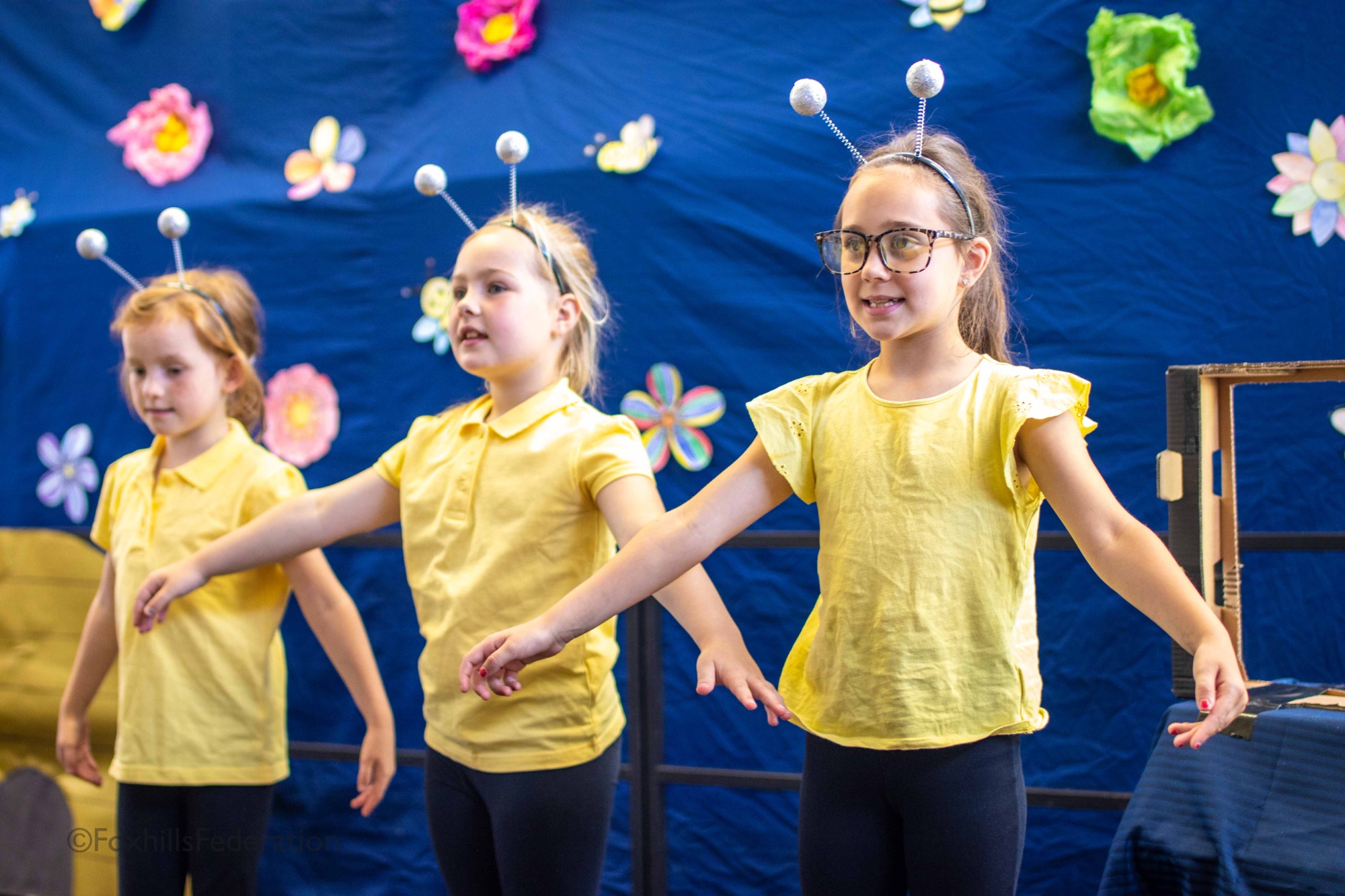 Bees dance