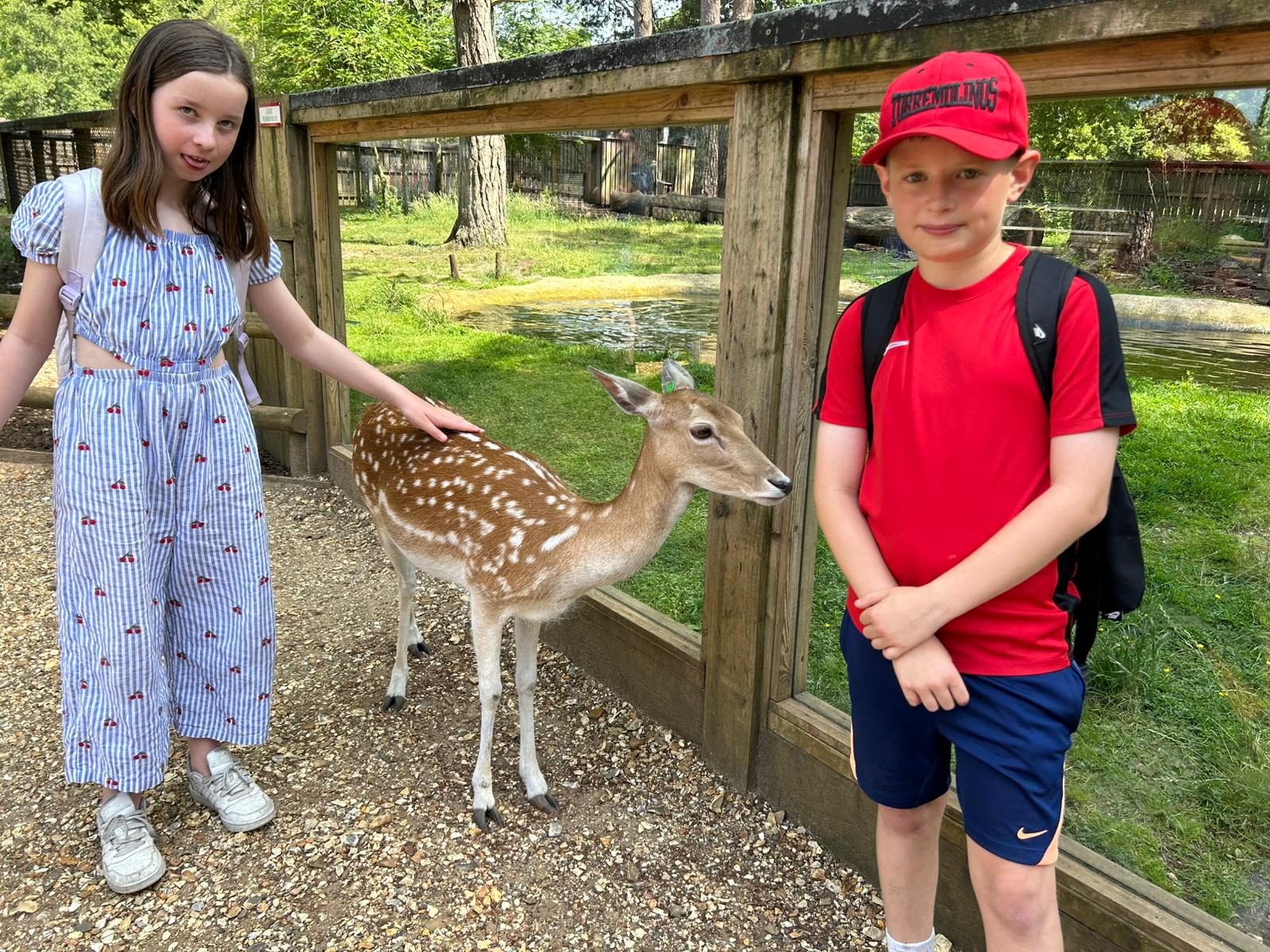 Children stand by a deer