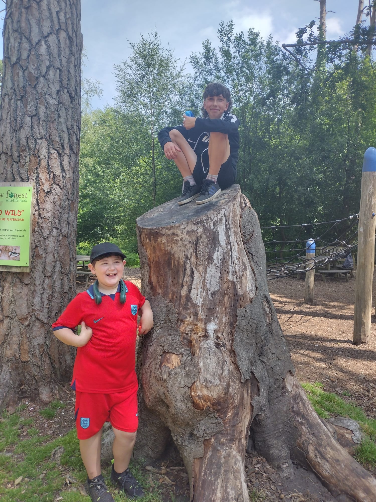 Two boys sit on a tree stump