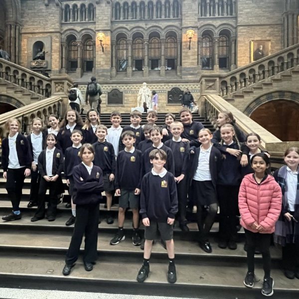 Year 6's Trip to the Natural History Museum